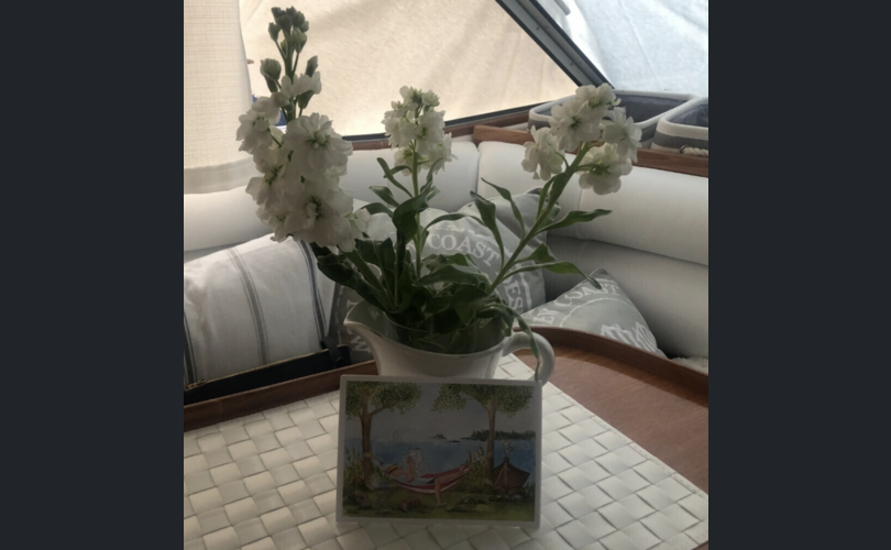 Marino Barracuda Fly 10.5-kuva-9